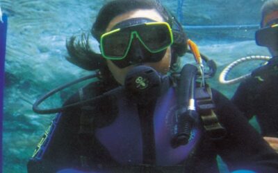 Great Places to Dive on the Gold Coast