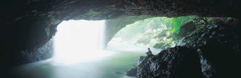 Springbrook National Park