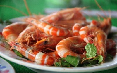 Broadbeach Seafood Restaurants
