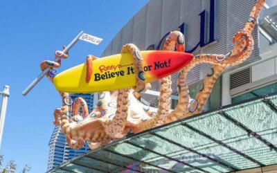 Parks That Make the Gold Coast a Family Favourite