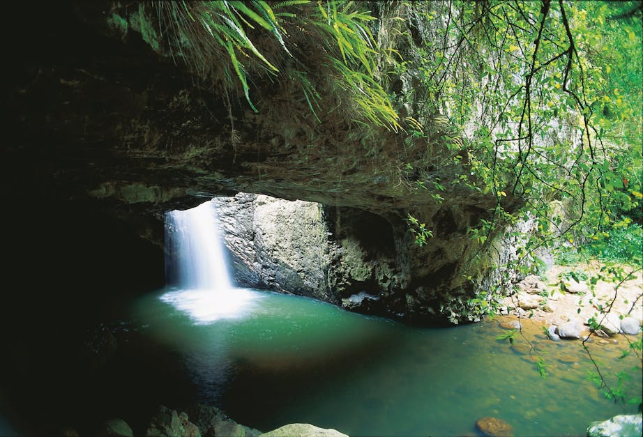 5 Unforgettable Things to Do in the Gold Coast Hinterland This Spring