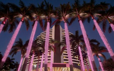 Dinner and a show at The Star: the Victoria Square evening out