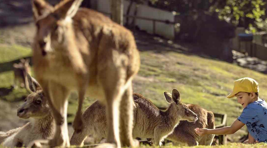 Spring school holidays from Victoria Square: the family plan