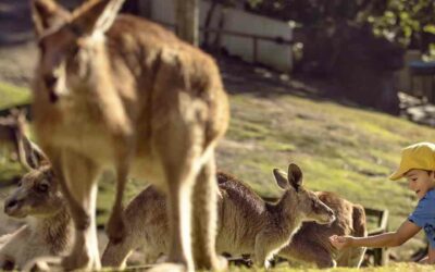Spring school holidays from Victoria Square: the family plan